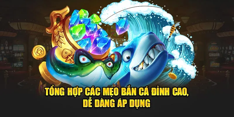 meo choi ban ca 6807d6106f085